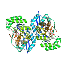 AU of 3px5 by Molmil