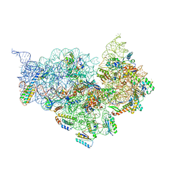 AU of 3pyn by Molmil