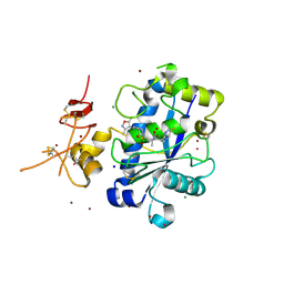 BU of 3q2h by Molmil