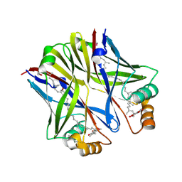 BU of 3q34 by Molmil