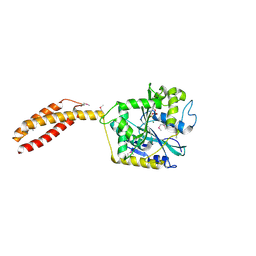 BU of 3q5d by Molmil