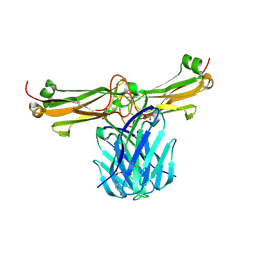 BU of 3q5y by Molmil