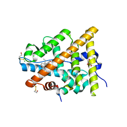 AU of 3q97 by Molmil