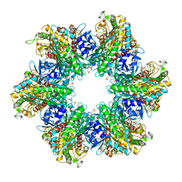 AU of 3qaj by Molmil