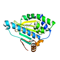 BU of 3qdd by Molmil