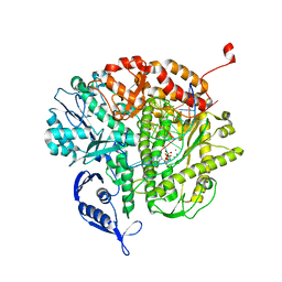 BU of 3qex by Molmil