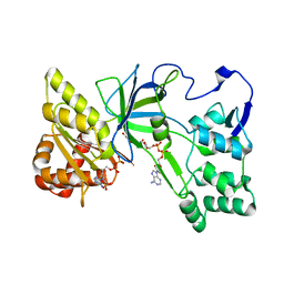 BU of 3qfs by Molmil