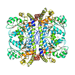 BU of 3qi6 by Molmil