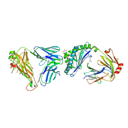 BU of 3qi9 by Molmil