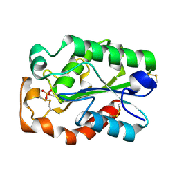 BU of 3qpd by Molmil