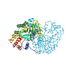 BU of 3qpg by Molmil