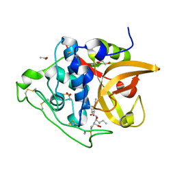 BU of 3qsd by Molmil