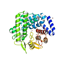 BU of 3qsp by Molmil