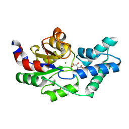 BU of 3qu9 by Molmil