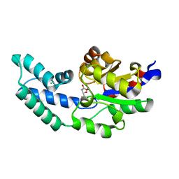 BU of 3qut by Molmil