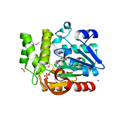 BU of 3qvm by Molmil