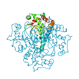 BU of 3qvn by Molmil