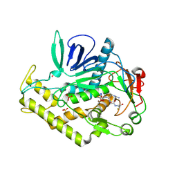 BU of 3qw8 by Molmil