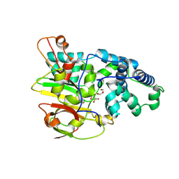 BU of 3qyg by Molmil