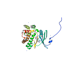 AU of 3r78 by Molmil