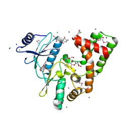 AU of 3r82 by Molmil