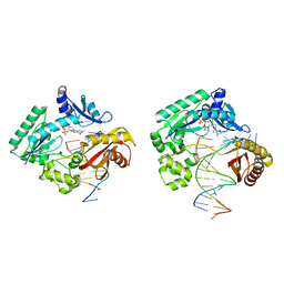 AU of 3rbe by Molmil