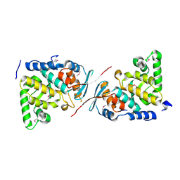 BU of 3rbn by Molmil