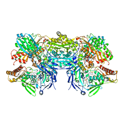 AU of 3rca by Molmil