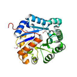 BU of 3rcm by Molmil