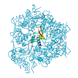 BU of 3rco by Molmil