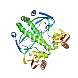 BU of 3rdi by Molmil