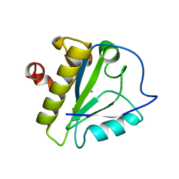 BU of 3rdr by Molmil