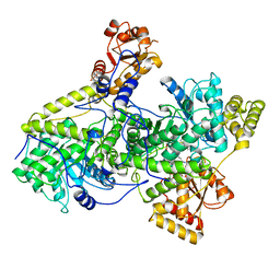 BU of 3req by Molmil