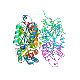 BU of 3rfq by Molmil