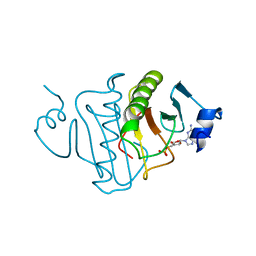 BU of 3rhn by Molmil