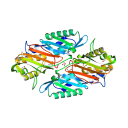 BU of 3rj4 by Molmil