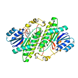 BU of 3rj5 by Molmil