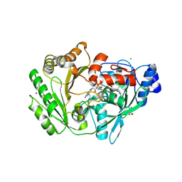 BU of 3rj8 by Molmil