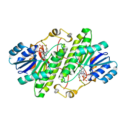 BU of 3rj9 by Molmil