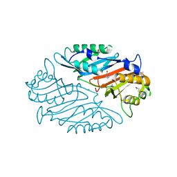 AU of 3rjb by Molmil