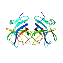 BU of 3rkc by Molmil