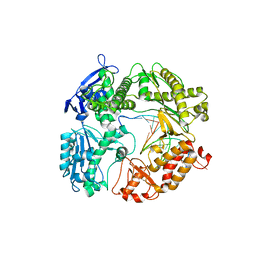 BU of 3rmc by Molmil