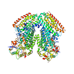 BU of 3rmk by Molmil