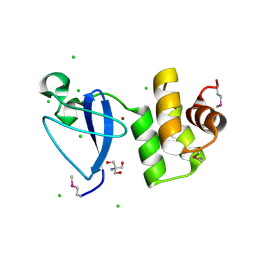 BU of 3rmq by Molmil