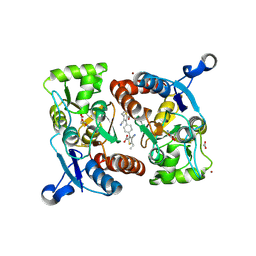 BU of 3rn8 by Molmil