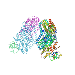 BU of 3rn9 by Molmil