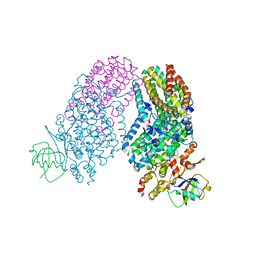 BU of 3rna by Molmil