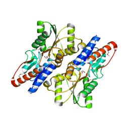 BU of 3rot by Molmil
