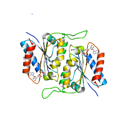 BU of 3rpe by Molmil