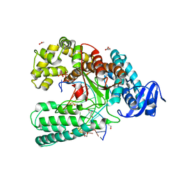 BU of 3rrh by Molmil